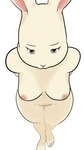 Rating: e
ID: 5107454
Date: 2024-10-11 01:35:55 -0400
Status: active
Score: 71
9:16 aipluvid anthro areola barefoot beastars breasts brown_eyes domestic_rabbit dwarf_rabbit feet female haru_(beastars) hi_res humanoid_feet lagomorph leporid looking_at_viewer looking_up looking_up_at_viewer mammal medium_breasts navel nipples nude oryctolagus plantigrade pubic_stubble rabbit rabbit_ears solo standing post #5107454