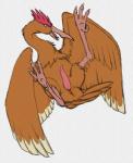 anus avian avian_butt avian_feet beak bird erection fearow feathered_crest feathered_wings feathers feet feral generation_1_pokemon genitals graphite_(artwork) head_crest male nintendo open_mouth penis pokemon pokemon_(species) pose python13rp simple_background sketch solo spread_wings tail tail_feathers talons tapering_penis toes traditional_media_(artwork) white_background wings yaroul