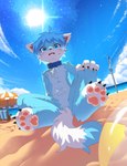 4_fingers 4_toes absurd_res anthro ball beach beach_ball beach_chair beach_umbrella black_claws black_nose blue_body blue_collar blue_eyes blue_fur blue_hair blue_sky blue_tail_tip blush blush_lines bodily_fluids canid canine chest_tuft claws cloud collar collar_only day dipstick_ears dipstick_tail dutch_angle ear_markings featureless_crotch feet finger_claws fingerpads fingers foot_focus fox front_view full-length_portrait fur hair hand_on_knee hand_on_leg hand_on_own_knee hand_on_own_leg hi_res hindpaw horizon inflatable kemono looking_at_viewer low-angle_view male male_anthro mammal markings mikey_(mikey_fox) multicolored_body multicolored_ears multicolored_fur net nude nude_anthro nude_male on_ground on_sand open_mouth parasol pawpads paws pink_pawpads portrait sand sea seaside shy sitting sitting_on_ground sky solo sun sweat sweatdrop tail tail_markings teeth terri_the_dragon toe_claws toes tuft two_tone_body two_tone_fur volleyball_net water white_body white_ear_tips white_fur white_tail