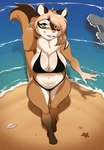 2024 absurd_res amberpendant anthro beach big_breasts bikini blue_eyes breasts brown_body brown_fur buckteeth chipmunk clothing female fluffy fluffy_tail front_view fur ground_squirrel hi_res looking_at_viewer mammal neck_tuft rodent sciurid seaside solo standing swimwear tail teeth tuft two-piece_swimsuit water wet wide_hips