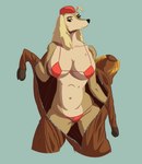Rating: q
ID: 5095902
Date: 2024-10-05 15:00:02 -0400
Status: active
Score: 33
4cus95 anthro bikini blonde_hair blue_background breasts camel_toe canid canine canis clothing costume cuphead_(game) domestic_dog female hair half-closed_eyes hat headgear headwear hi_res horse_costume hunting_dog mammal narrowed_eyes navel pilot portrait saluki sergeant_o'fera sighthound simple_background solo swimwear tan_body thong three-quarter_portrait two-piece_swimsuit underwear undressing unzipped zipper post #5095902