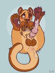 Rating: e
ID: 5551483
Date: 2025-05-05 18:50:46 -0400
Status: active
Score: 20
3:4 accessory anatomically_correct anatomically_correct_genitalia anatomically_correct_penis animal_genitalia animal_penis anus balls blush bodily_fluids book brown_body brown_fur cock_ring digital_media_(artwork) erection euplerid feral fossa fossa_penis fur genital_fluids genitals heterochromia hi_res jewelry knot lying male mammal multi_knot on_back open_mouth pawpads paws penile_spines penis penis_accessory penis_jewelry precum presenting presenting_penis sheath simple_background solo tail tail_anus tapering_penis tongue yurusa post #5551483