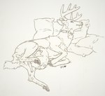 Rating: e
ID: 4247901
Date: 2023-08-22 07:57:45 -0400
Status: active
Score: 90
animal_genitalia animal_penis antlers belly_rub bladder_bulge bladder_inflation blocked_peeing bodily_fluids cervine_genitalia cervine_penis collar deer disembodied_hand drooling duo erection feral fluffy fluffy_ears genitals hi_res hooves horn inflation lying male mammal neck_tuft new_world_deer on_side penis pillow saliva skyfifer skyfifer_(character) tuft urethral white-tailed_deer post #4247901
