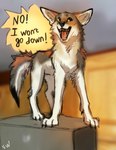 Rating: s
ID: 3896827
Date: 2023-02-26 13:30:53 -0500
Status: active
Score: 80
2023 ambiguous_gender black_nose canid canine canis claws colored_sketch coyote digital_drawing_(artwork) digital_media_(artwork) english_text feral flashw fur grey_body grey_fur mammal open_mouth shaded sketch solo tail teeth text tongue white_body white_fur post #3896827