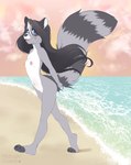 anthro areola artist_name band_(marking) banded_tail beach biped black_hair blue_eyes blush breasts chest_tuft college_student day detailed_background digital_drawing_(artwork) digital_media_(artwork) english_text fangs female flat_colors full-length_portrait fur grey_body grey_fur hair hands_behind_tail hi_res looking_at_viewer mammal markings midnightgospel navel nipples nude nude_anthro nude_female open_mouth open_smile outside plantigrade portrait pose procyonid profile raccoon sea small_breasts smile solo story_at_source suzy_(n0mad) tail tail_markings teeth text three-quarter_view tuft walking water white_body white_fur