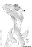 1999 abs angry animal_genitalia anthro biped border_collie canid canine canis chest_floof collie domestic_dog foxen fully_sheathed genitals graphite_(artwork) greyscale herding_dog male mammal monochrome muscular muscular_male pastoral_dog pencil_(artwork) portrait raised_arm sheath sheepdog solo tail tail_between_legs three-quarter_portrait traditional_media_(artwork)