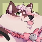 1:1 ambiguous_gender anthro bell bell_collar big_cheeks blep blush brown_body brown_fur canid canine chub-united collar fat_cheeks fox fur green_eyes hair hair_over_eye hi_res holiday_(holidaysoftfox) looking_up male mammal obese obese_anthro obese_male overweight overweight_anthro overweight_male pink_bow pink_collar pink_hair portrait solo tongue tongue_out