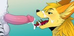 anthro bodily_fluids bodily_fluids_in_mouth bodily_fluids_on_face canid canine cum cum_in_mouth cum_inside cum_on_face cum_on_micro cumshot cumshot_in_mouth digital_media_(artwork) domestic_ferret ejaculation felid fellatio female fennec_fox fox genital_fluids genitals group hi_res imminent_vore luka_(weaselclaw) macro male male/male/female mammal mawplay micro micro_in_mouth micro_on_tongue mustelid musteline on_tongue oral pantherine penile penis rooc sex size_difference size_play slaika_(weaselclaw) tiger trio true_fox true_musteline vore weasel werther