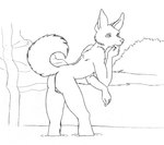 2002 anthro backsack balls bent_over black_and_white butt canid canine detailed_background fox fur genitals grass humanoid_hands kestral_(artist) line_art male mammal monochrome nude partially_submerged plant raised_tail rock shrub snout solo standing_in_water tail waterfall