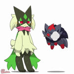 1:1 ambiguous_gender animated anthro biped black_body black_fur black_tail blue_eyes blush duo feral fur generation_5_pokemon generation_9_pokemon green_body green_fur green_tail heart_symbol illusion meowscarada multicolored_body multicolored_fur nintendo pawpads pokemon pokemon_(species) quadruped red_body red_eyes red_fur shadow short_playtime short_tail simple_background sound tail thought_bubble tontaro transformation webm white_background zorua