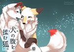 2015 akafude_(tsukune_minaga) blue_eyes blush bodily_fluids brown_body brown_fur canid canine canis comic cover cover_art cover_page digital_media_(artwork) dipstick_tail domestic_dog duo female female/female feral fox fur green_eyes japanese_text looking_at_another mammal markings multicolored_tail red_body red_fur shiranui_(tsukune_minaga) sweat tail tail_markings text tongue tongue_out translated tsukune_minaga white_body white_fur yellow_body yellow_fur