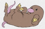 anus claws diglett erection feral generation_1_pokemon genitals graphite_(artwork) long_penis male mammal nintendo nude penis pokemon pokemon_(species) python13rp simple_background solo tapering_penis traditional_media_(artwork) white_background yaroul