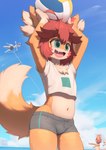 2023 acra_(arcadius0505) anthro anthro_focus arca_(arcadius0505) arcadius0505 ball bodily_fluids bottomwear canid canine clothed clothing cloud crop_top cute_fangs day digital_media_(artwork) fox fur group hair happy hi_res holding_object kemono male male_anthro male_focus mammal midriff navel open_mouth open_smile outside shirt shorts sky smile solo_focus sweat sweatdrop tongue topwear trio volleyball_(ball) young young_anthro young_male