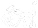 ambiguous_gender bluestar_(warriors) domestic_cat duo felid feline felis feral firestar_(warriors) kitt3ngutzz mammal monochrome sketch unfinished warriors_(book_series)