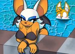 anthro bat bikini blush canid canine clothing duo female fox hi_res leaning leaning_forward male male/female mammal miles_prower pool rouge_the_bat sega shumpy smile sonic_the_hedgehog_(series) swimwear two-piece_swimsuit