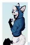 2020 absurd_res anthro black_body black_fur black_nose blue_body blue_clothing blue_eyes blue_fur bottomless butt canid canine clothed clothing digital_media_(artwork) dipstick_tail ears_up fluffy fluffy_tail fox fur fur_markings furgonomics hi_res holding_object hoodie inner_ear_fluff kitakettu_(artist) kitakettu_(character) looking_at_viewer looking_back looking_back_at_viewer male mammal markings multicolored_tail rear_view signature simple_background solo standing tail tail_markings topwear tuft white_body white_fur