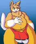 anthro balls big_balls big_bulge big_penis bulge clothing daniruu fluffy fur generation_9_pokemon genitals ground_squirrel hair hi_res male mammal marmot multicolored_clothing multicolored_underwear nintendo orange_body orange_eyes orange_fur orange_hair overweight overweight_anthro overweight_male pawmot penis pokeball_underwear pokemon pokemon_(species) pubes red_clothing red_underwear rodent sciurid solo thong two_tone_clothing two_tone_underwear underwear white_clothing white_underwear yellow_cheeks