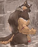 anthro arun_six butt canid canine canis digital_drawing_(artwork) digital_media_(artwork) domestic_dog fur genitals glans hi_res inside looking_at_viewer male mammal muscular muscular_anthro muscular_male nude penis scar shower standing tail wet