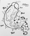 anthro big_breasts big_muscles big_penis biscotte_(keke) breasts felid genitals hi_res huge_arms huge_breasts huge_muscles huge_penis hyper hyper_genitalia hyper_penis male mammal monochrome muscular pantherine penis solo tiger yasser