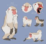 :< ambiguous_gender angry english_text expressions feral haplorhine hi_res japanese_macaque macaque mammal model_sheet monkey nonbinary_(lore) old_world_monkey primate pronouns seasonal_pelt solo spoonfayse summer_pelt text winter_pelt yuki_(spoonfayse)