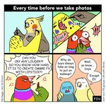 1:1 2024 ambiguous_gender angry applying_makeup archie_(art_of_emm) art_of_emm avian bella_(art_of_emm) bird blush_(makeup) bodily_fluids budgerigar cockatiel cockatoo comic cross-popping_vein dialogue digital_media_(artwork) english_text exclamation_point eyeliner feather_hands feathers female female_(lore) feral george_(art_of_emm) gouldian_finch group jessie_(art_of_emm) lipstick loriinae lovebird makeup male male_(lore) nervous open_mouth parakeet parrot parrotlet personal_grooming robin_(art_of_emm) scandalous_six speech_bubble sweat text true_parrot