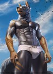 anthro briefs bulge canid canine canis clothing domestic_dog hnz male mammal paint pose sea seductive silverturian solo underwear vacation water wolf