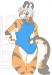 2019 anthro blue_clothing blue_topwear butt closed_smile clothed clothing digital_media_(artwork) eyebrows felid fur green_eyes grey_ears grey_hair grey_markings grey_nose grey_stripes hair hardscales hi_res looking_at_viewer male mammal markings mouth_closed narrowed_eyes orange_body orange_fur pantherine portrait rear_view scyler short_hair smile solo standing striped_legs striped_markings striped_tail stripes tail tail_markings three-quarter_portrait tiger topwear white_body white_fur