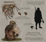 ambiguous_gender arthropod beetle english_text feral gore grass hair hi_res human insect mammal plant rappenem scar severed_body_part severed_head solo text weevil