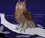 post #5559186