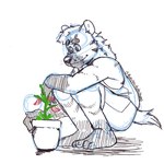 Rating: s
ID: 5548447
Date: 2025-05-04 12:41:19 -0400
Status: active
Score: 5
anthro barefoot bottomwear clothed clothing crouching feet hi_res hyena male mammal p_rindustries plant plant_pot potted_plant round_ears shirt shorts simple_background solo tail topwear undershirt whisker_spots white_background post #5548447