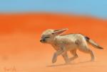 4_legs ambiguous_gender canid canine child desert english_text fennec_fox feral fox fur hi_res mammal narrowed_eyes quadruped realistic sand shadow solo squint swish text true_fox walking whiskers white_body white_fur wind young young_feral