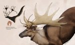 antlers brown_body brown_fur cave_painting cervine deer feral fur hi_res horn inner_ear_fluff julio_lacerda male mammal megaloceros prehistoric_species realistic scientific_name solo tuft