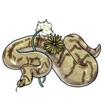 Rating: s
ID: 5105080
Date: 2024-10-09 20:59:10 -0400
Status: active
Score: 6
1:1 2022 ambiguous_gender ball_python brown_markings dandelion digital_media_(artwork) feral flower hi_res manitka markings plant python python_(genus) reptile scales scalie simple_background snake solo tan_body tan_scales tongue tongue_out white_background post #5105080
