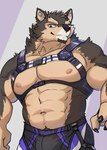 abs absurd_res anthro bottomwear brown_body brown_fur bulge canid canine canis clothing domestic_dog en_gawein eyebrows fur harness hi_res lifewonders live_a_hero male mammal muscular muscular_anthro muscular_male nipples pecs pubraseer shorts solo swimwear thick_eyebrows