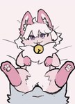 Rating: e
ID: 5596381
Date: 2025-05-25 00:05:16 -0400
Status: active
Score: 335
2d_animation animated anthro anthro_on_feral anthro_penetrating anthro_penetrating_feral bell bell_collar bestiality canid canine collar digital_media_(artwork) duo faceless_anthro faceless_character faceless_male female female_focus female_penetrated feral feral_focus feral_penetrated from_front_position fur genitals hair hinemi_kon_(hinemi_kon) humanoid_genitalia humanoid_genitalia_on_feral humanoid_penis humanoid_pussy humanoid_pussy_on_feral katla_(artist) looking_at_viewer loop lying male male/female male_penetrating male_penetrating_female mammal missionary_position neck_tuft on_back pawpads penetration penile penile_penetration penis penis_in_pussy pink_body pussy quadruped sex short_playtime simple_background smile solo_focus tongue tongue_out tuft vaginal vaginal_penetration white_hair post #5596381