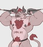 2017 absurd_res anthro armpit_hair barazoku bicep_curl biceps big_biceps big_muscles bodily_fluids body_hair body_writing bovid bovine bulge cattle chest_hair clothing english_text exercise facial_piercing grey_background hair hi_res horn jockstrap male mammal muscular muscular_anthro muscular_male nightterror nipple_piercing nipples nose_piercing nose_ring obliques piercing pubes ring_piercing simple_background solo sweat text text_on_body underwear workout writing_on_belly