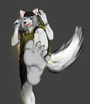 anthro arctic_fox axel canid canine claws concept_art feet foot_fetish foot_focus fox hi_res humanoid_feet male mammal model_sheet paws plantigrade robinthefox rockband singer soles solo toes true_fox