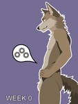 3:4 anthro balls billybobjoey canid canine canis coyote flat_shading fuzzy_balls genitals green_eyes hi_res male mammal neck_tuft nipples nude outline pregnant pregnant_anthro pregnant_male side_view simple_background slim smile smirk solo tail text tuft vector