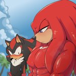 1:1 abs absurd_res anthro biceps black_body blush bodily_fluids clothing digital_media_(artwork) duo echidna eulipotyphlan fur girl_staring_at_man's_chest gloves hair handwear hedgehog hi_res hotcocopon knuckles_the_echidna male male/male mammal meme monotreme muscular muscular_anthro muscular_male nipples outside pecs plant sega shadow_the_hedgehog sky sonic_the_hedgehog_(series) standing sweat sweatdrop