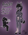 4:5 anthro ashley_(erynerikard) asinus black_hair clothing controller digital_drawing_(artwork) digital_media_(artwork) donkey electronics equid equine erynerikard featureless_crotch footwear game_controller hair headphones hi_res hoodie legwear male mammal markings nonbinary_(lore) socks solo spots spotted_body thigh_highs thigh_socks topwear