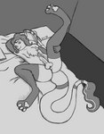 anthro balls bed bedding bern_skyeyes big_butt blanket butt chest_tuft digital_media_(artwork) erection furniture genitals greyscale hatching_(art) hi_res holding_leg_up inside ironhornet jakkai long_tail looking_at_viewer lying male mattress monochrome on_back on_bed pawpads penis pillow presenting presenting_hindquarters presenting_penis raised_leg shaded slightly_damned solo tail tail_tuft thick_tail tongue tongue_out tuft