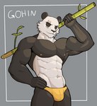 2021 abs anthro bamboo barazoku bear beastars biceps black_sclera bulge character_name clothing giant_panda gouhin_(beastars) grey_background hi_res holding_object jrjresq male mammal muscular muscular_anthro muscular_male navel nipples pecs pinup portrait pose scar simple_background solo standing thong three-quarter_portrait underwear