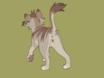 4:3 anus barkfur_(artist) brown_body brown_fur domestic_cat fan_character felid feline felis female feral fur genitals green_background grey_body grey_fur hi_res mammal model_sheet pussy raised_tail rear_view simple_background solo tail tail_anus warriors_(book_series)