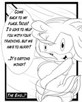 4:5 amy_rose anthro bottomwear clothed clothing clothing_lift comic dialogue english_text eulipotyphlan female greenhill hedgehog holding_skirt_down mammal monochrome panties sega skirt skirt_lift solo sonic_the_hedgehog_(series) speech_bubble text underwear wind