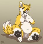 4_toes anthro belly canid canine featureless_crotch feet fluffy fluffy_tail fox male mammal muzz neck_tuft pawpads signature sitting slightly_chubby smile solo tail toes tuft