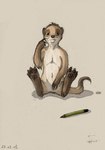 after_transformation brown_body brown_fur claws eleode feral finger_claws fur herpestid male mammal meerkat nude pawpads pencil_(object) simple_background sitting solo titash_(character) toe_claws whiskers