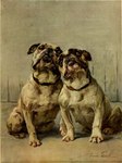 Rating: s
ID: 5552242
Date: 2025-05-06 02:12:24 -0400
Status: active
Score: 3
1910 20th_century ambiguous_gender ancient_art brown_body brown_collar brown_fur bulldog canid canine canis collar domestic_dog duo feet feral front_view full-length_portrait fur looking_at_viewer mammal mastiff maud_earl molosser mouth_closed multicolored_body multicolored_fur open_mouth portrait shaded shadow signature sitting snout teeth toes traditional_media_(artwork) white_body white_fur post #5552242