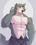 abdominal_scar anthro beastars biceps blush bodily_fluids bottomwear bullet_wound canid canine canis clothed clothing eyebrow_scar eyebrows facial_scar hand_on_neck hi_res legoshi_(beastars) male mammal muscular muscular_anthro muscular_male nervous nervous_sweat nipples notched_ear pants pecs pubes scar scratching solo sweat sweatdrop thediyemi topless topless_anthro topless_male wolf