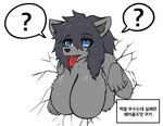 absurd_res anthro big_breasts black_hair blue_eyes breasts canid canine canis cookie_run female feral grey_body grey_hands grey_skin hair hi_res korean_text long_hair mammal megi open_mouth solo text tongue tongue_out translated werewolf_cookie wolf