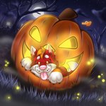 Rating: s
ID: 5103006
Date: 2024-10-08 20:39:39 -0400
Status: active
Score: 0
1:1 absurd_res ambient_arthropod ambient_firefly ambient_insect anthro arthropod bat beetle canid canine canis domestic_dog elateroid female firefly food fruit halloween hi_res holidays husky insect mammal moon naoto night nordic_sled_dog plant pumpkin solo spitz tongue post #5103006